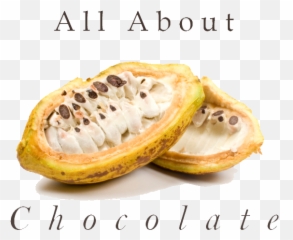Logo Photoshop - transparent All About ChocolateAll Cacao Pulp png