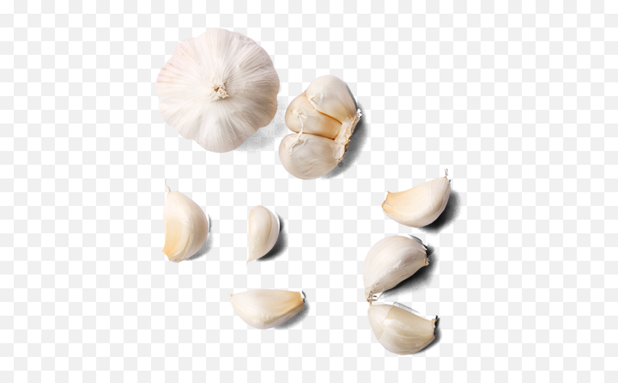 Garlic Transparent Image - Garlic From Top Png,Garlic Transparent Background