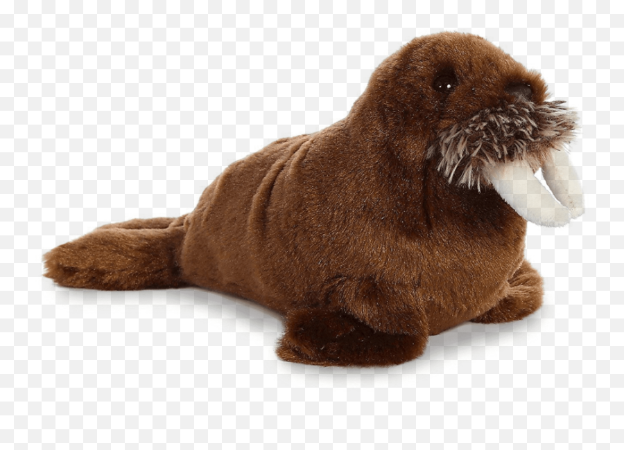 Walrus Png Free Download - Portable Network Graphics,Walrus Png