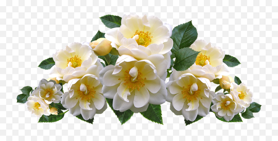 Download Roses White Flowers Arrangement Garden Nature - Yellow And White Roses Png,Garden Flowers Png