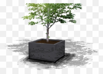 City Lounge Planter - Canoe Birch Png,Planter Png