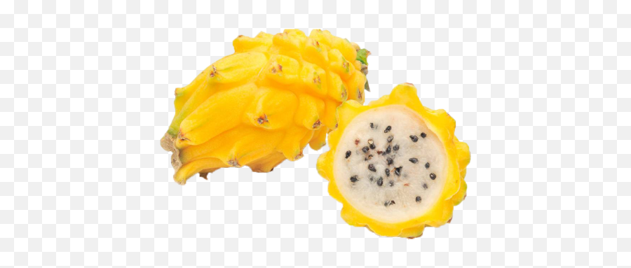 Dragon Fruit South Trade U0026 Solutions - Frutti Esotici Gialli Png,Dragon Fruit Png