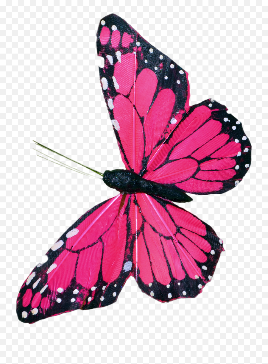 Pink Butterfly Clip Art - Pink Butterfly Png Transparent,Flying Butterfly Png