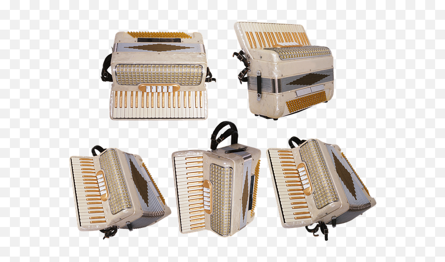Music Orchestra Fur Philharmonic Hall - Bellows Png,Accordion Png