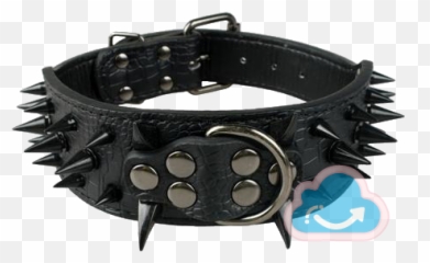Download Sharp Spiked Studded Leather - Spiked Collars For Dogs Png,Dog Collar Png