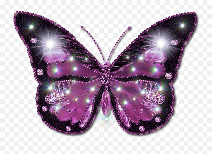 Butterfly Hd Png Transparent H 1107160 - Png Purple And Pink Butterfly Png,Butterflies Transparent