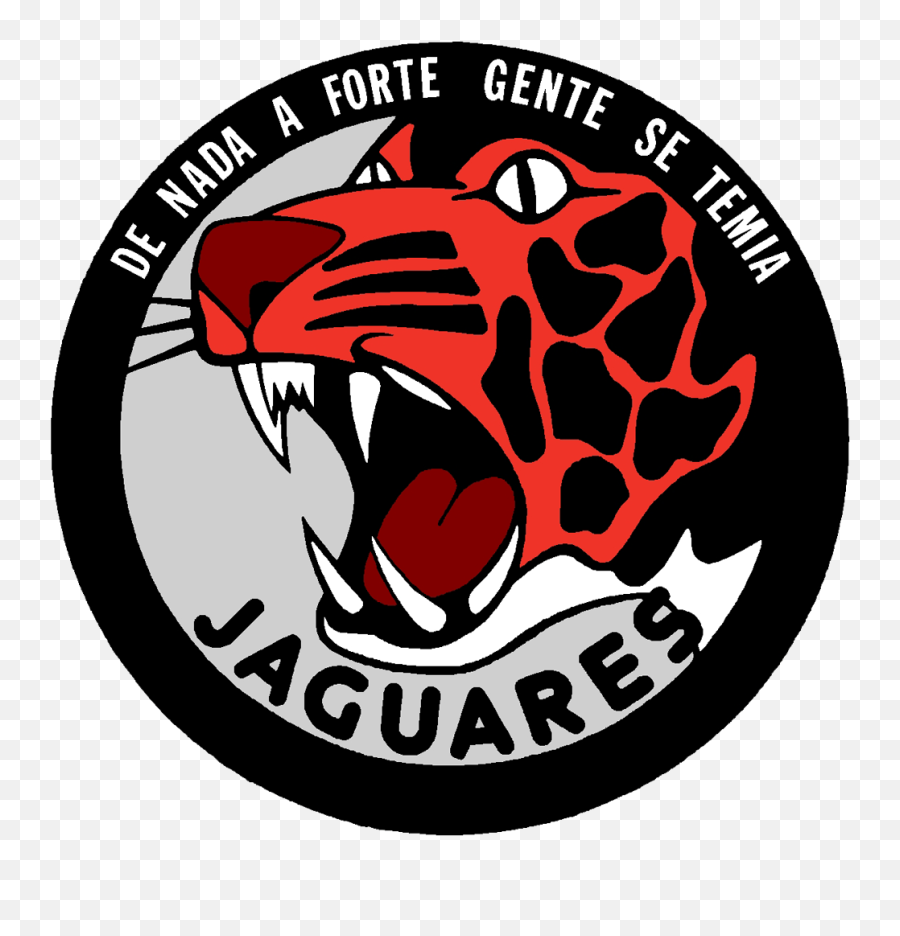The Military Of All Ethnicities In World - Page 16 Força Aerea Portuguesa Esquadras Png,Caifanes Logo