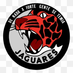 The Military Of All Ethnicities In World - Page 16 Força Aerea Portuguesa Esquadras Png,Caifanes Logo