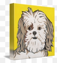 Shih Tzu By Slade Roberts - Canvas Png,Shih Tzu Png
