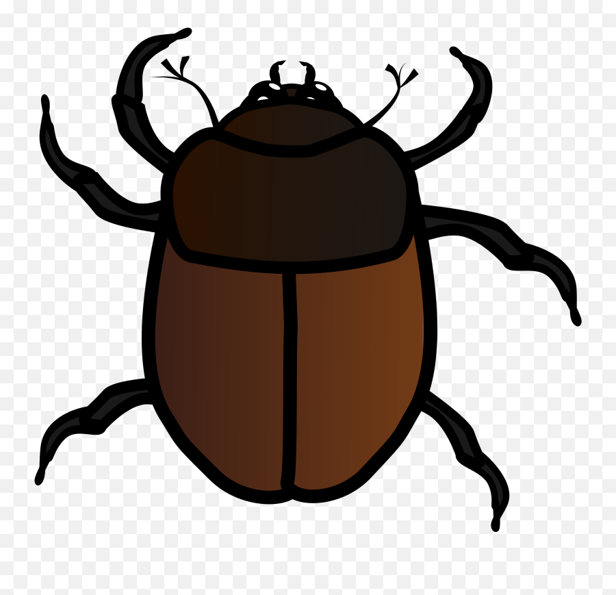 Bugs Clipart Beetle Transparent Free For - Hollow Knight Primal Aspids Memes Png,Bugs Png