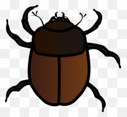 Bugs Clipart Beetle Transparent Free For - Hollow Knight Primal Aspids Memes Png,Bugs Png