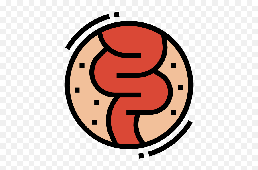 Pin - Ibs Icon Png,Intestine Icon
