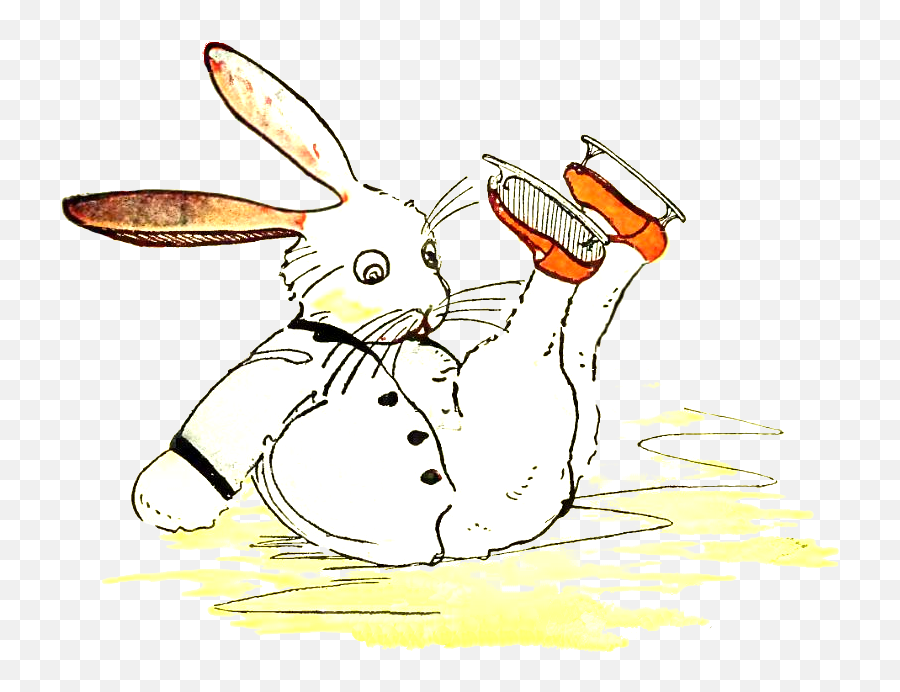 Peter - Cartoon Png,Peter Rabbit Png
