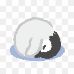 Cute Penuins Png Image