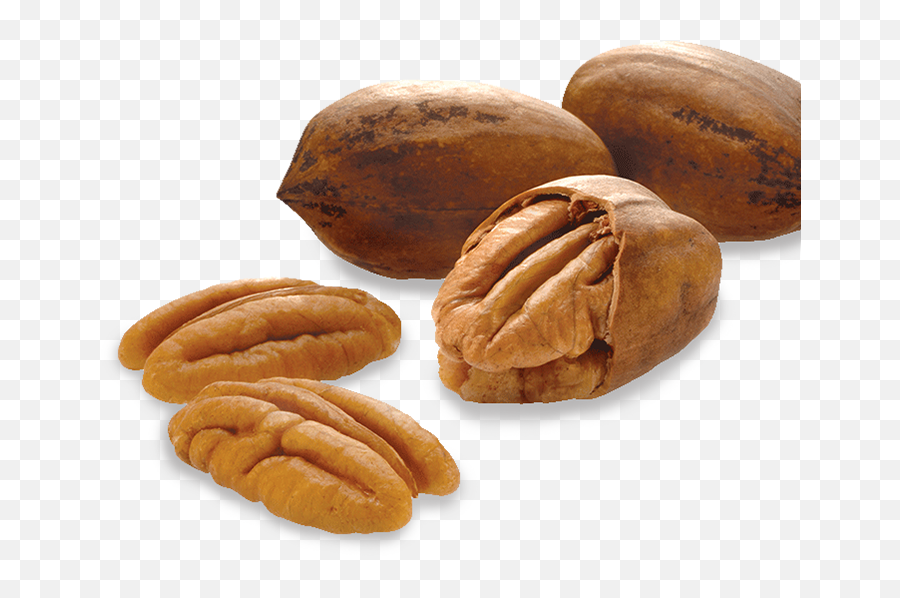 The Global Source For Nuts John B Sanfilippo U0026 Son Inc - Pecan Png,Walnut Transparent