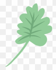 Simple Hand Drawn Roundy Leaf Transparent Png U0026 Svg Vector - Natural Foods