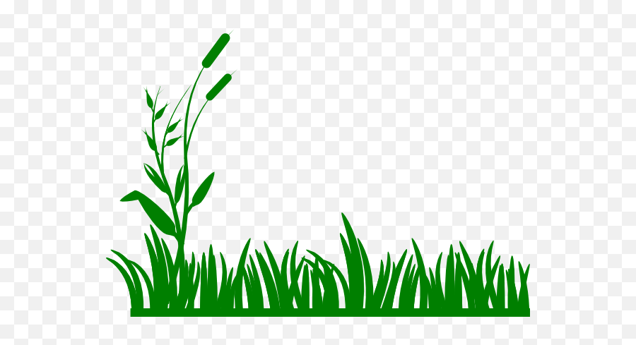 Grass Cartoon Transparent Png Image - Grass Png Black And White,Algae Png