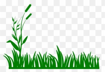 Grass Cartoon Transparent Png Image - Grass Png Black And White,Algae Png