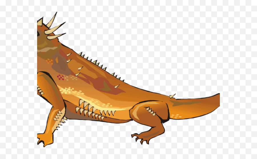 Iguana Clipart Desert - Green Iguana Transparent Desert Iguana Clipart Png,Iguana Png