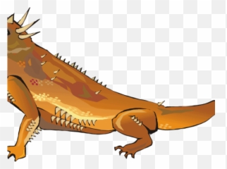 Iguana Clipart Desert - Green Iguana Transparent Desert Iguana Clipart Png,Iguana Png
