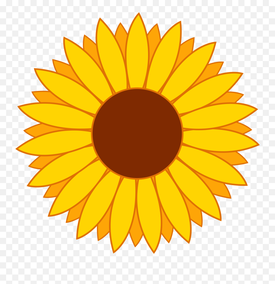 Library Of Flower Cartoon Png Free - Sunflower Png Clipart,Flower Cartoon Png