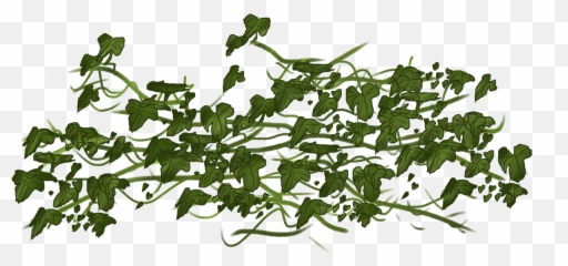 Vine Ivy Clip Art - vines png download 24001800 Free Transparent