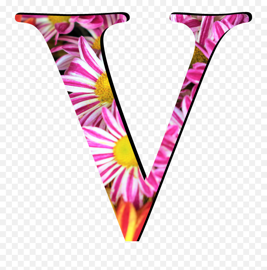 Flower Pattern Letters V - Flower Pattern Letter St Png,Flower Pattern Png