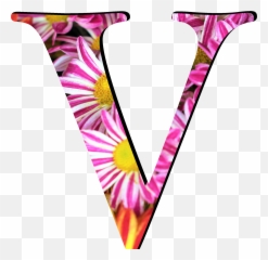Flower Pattern Letters V - St Png