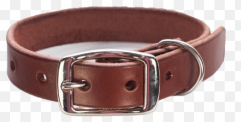 Dog Collar Png - Png Dog Collar,Collar Png
