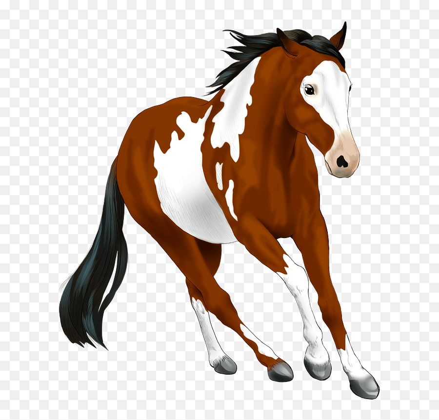 American Paint Horse Clipart Free Download Transparent Png - Horse Clipart,Horse Transparent Png