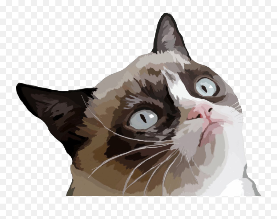 Grumpy Cat Face Transparent Png - Grumpy Cat Png,Cat Face Transparent Background