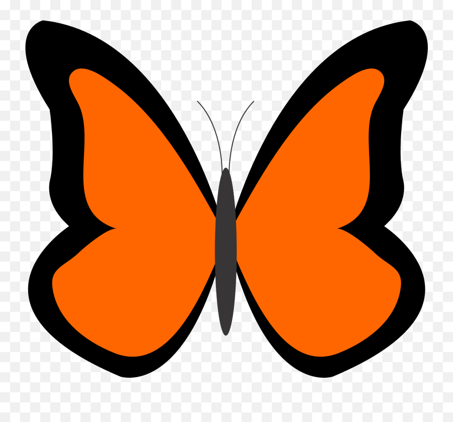 Library Of Black And White Cross With Butterfly Graphic - Clip Art Orange Butterfly Png,Butterfly Outline Png