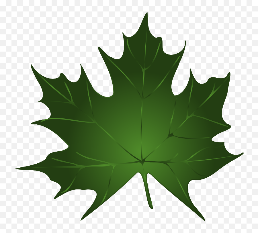 Library Of Image Transparent Pumpkin With Leaves Png - Maple Leaf Green Color,Thanksgiving Leaves Png