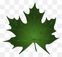 Library Of Image Transparent Pumpkin With Leaves Png - Maple Leaf Green Color,Thanksgiving Leaves Png