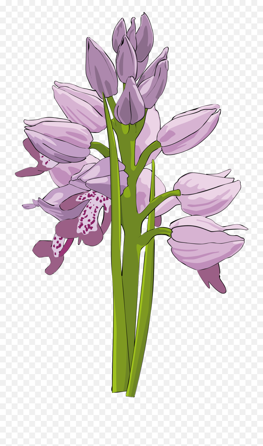 Library Of Funeral Flower Picture Transparent Download Png - Clip Art,Funeral Flowers Png