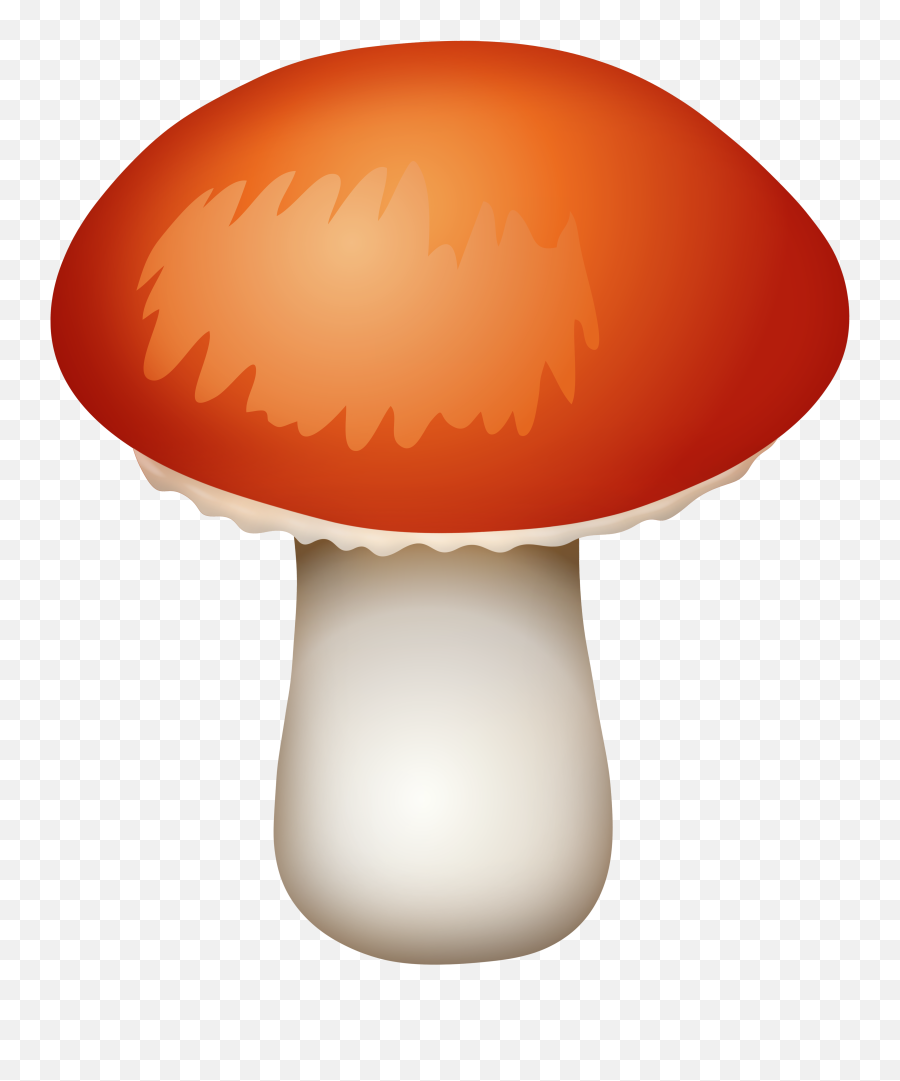 Mushroom Clipart Png Fungi