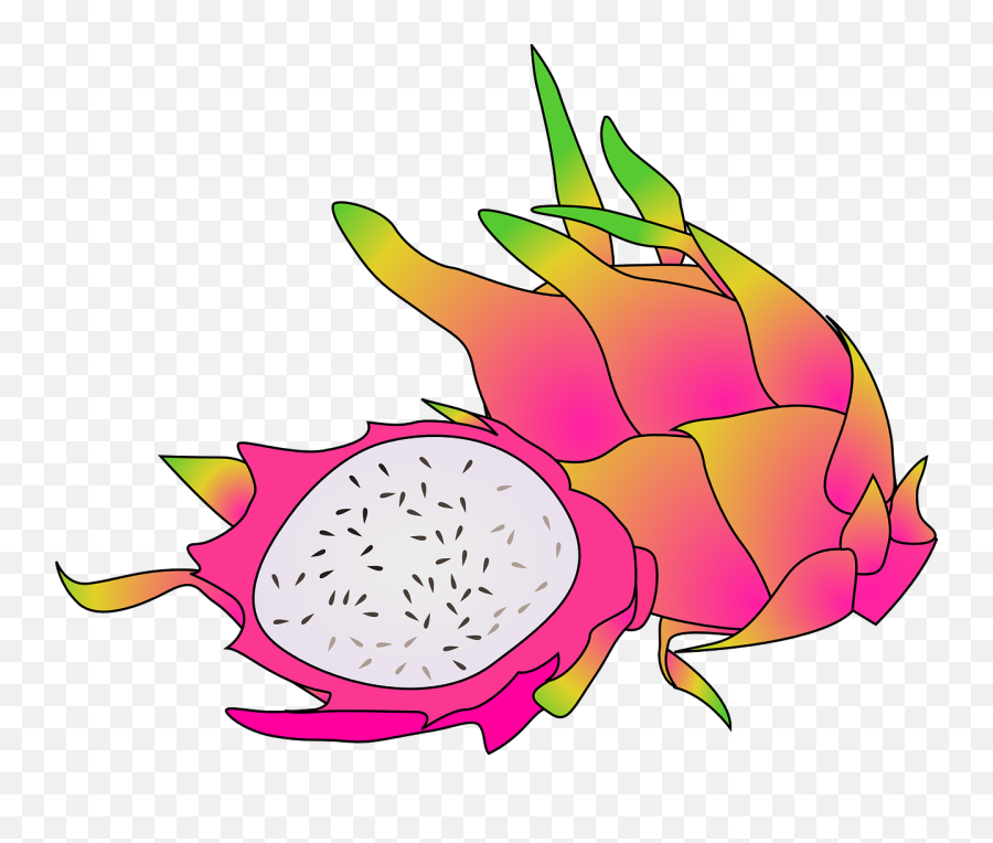 Dragon Fruit Tropical - Cartoon Dragon Fruit Png,Dragonfruit Png
