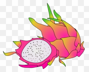 Dragon Fruit Tropical - Cartoon Dragon Fruit Png,Dragonfruit Png