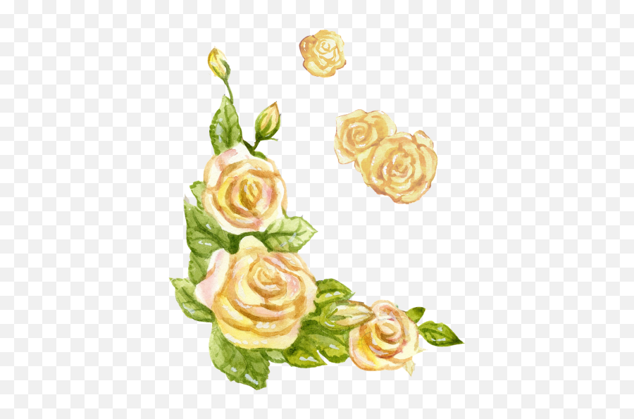 Free Photos Watercolor Rose Search Download - Needpixcom Watercolor Yellow Roses Png,Watercolor Roses Png