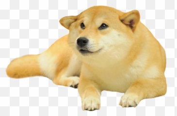 Doggo - Pet Doge Png,Doggo Png