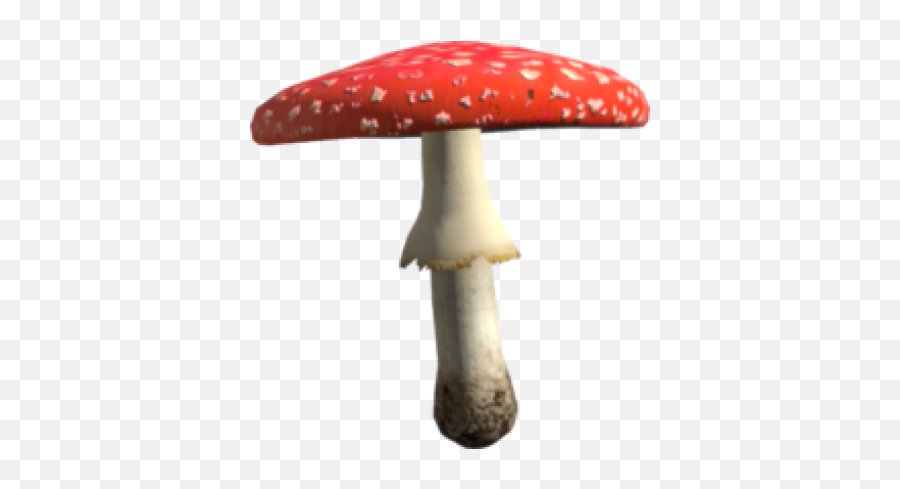 Png Toadstool Mushroom - Amanita Png,Toadstool Png