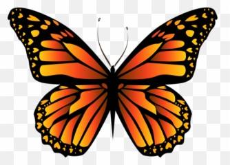 Orange Butterfly Png Clipar Image Clip Art - Clipart