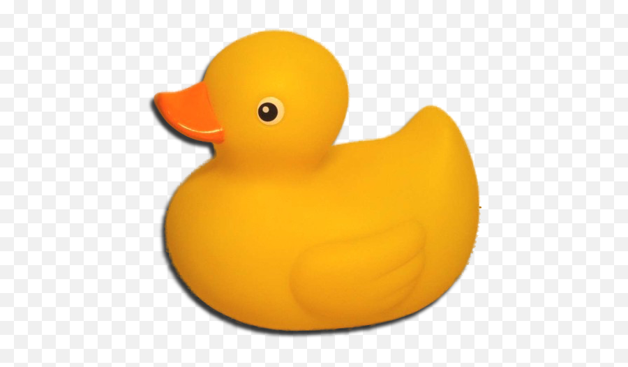Png Free Download Images Duck 20169 - Free Icons And Png Giant Rubber Duck Png,Ducks Png