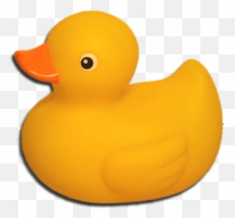 Png Free Download Images Duck 20169 - Free Icons And Png Giant Rubber Duck Png,Ducks Png