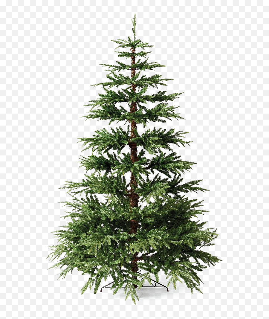 Christmas Pine Tree Png File - Christmas Tree,Pine Tree Png