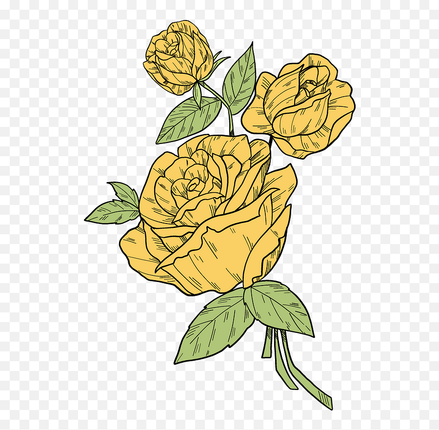 Yellow Roses Clipart - Garden Roses Png,Yellow Rose Png
