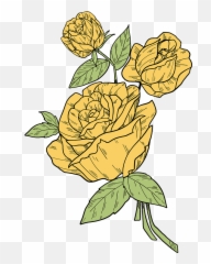 Yellow Roses Clipart - Garden Roses Png,Yellow Rose Png