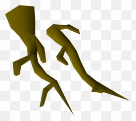 Oak Roots - Portable Network Graphics png