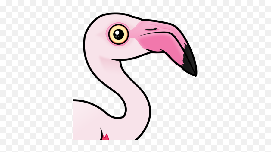 Cute Greater Flamingo By Birdorable U003c Meet The Birds - Flamingo Birdorable Png,Flamingo Png