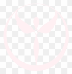 Lange Hair Care Png Booster Gold Logo